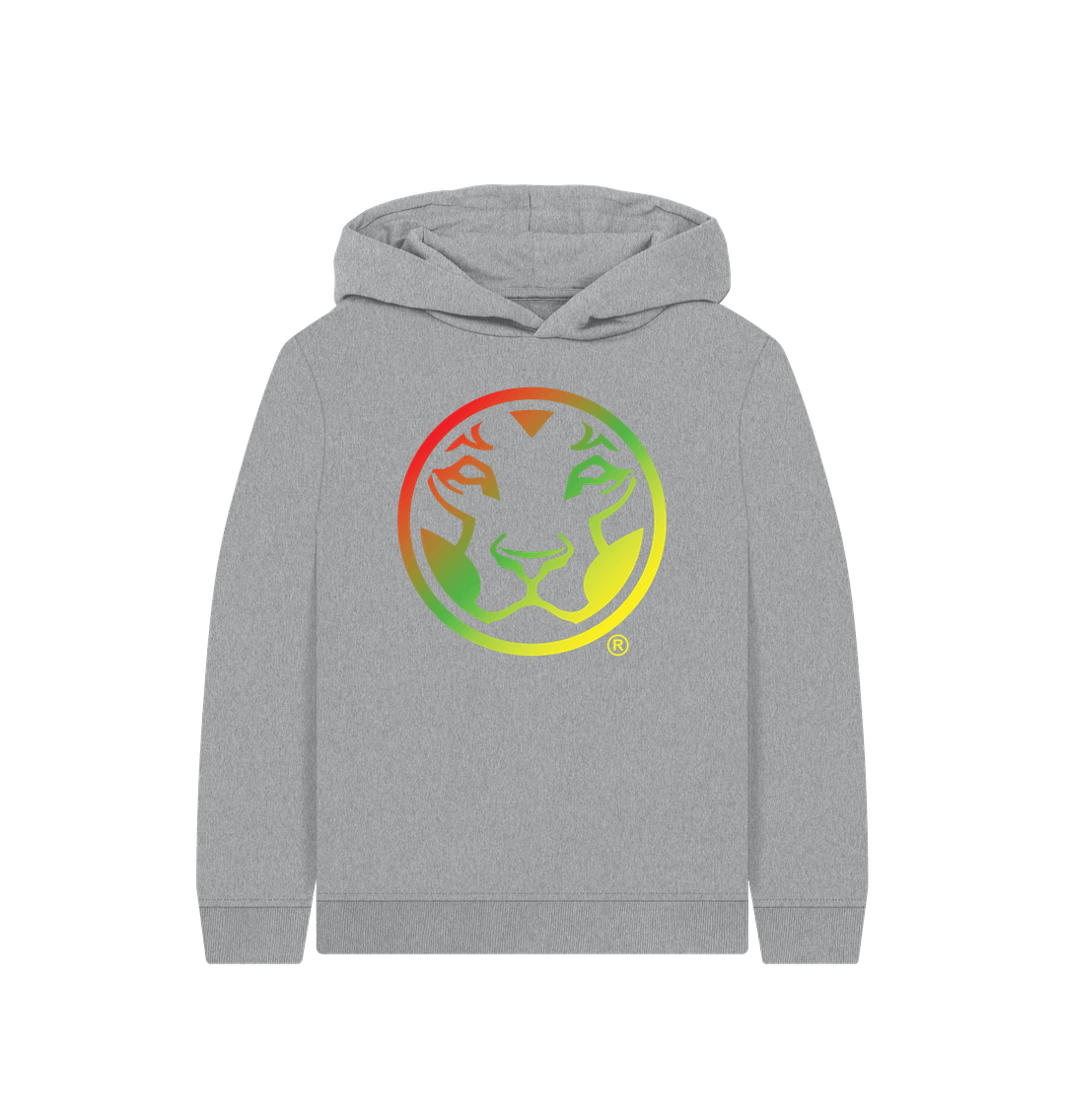 Athletic Grey Printed Kids Hoodie Front