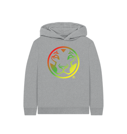Athletic Grey Printed Kids Hoodie Front